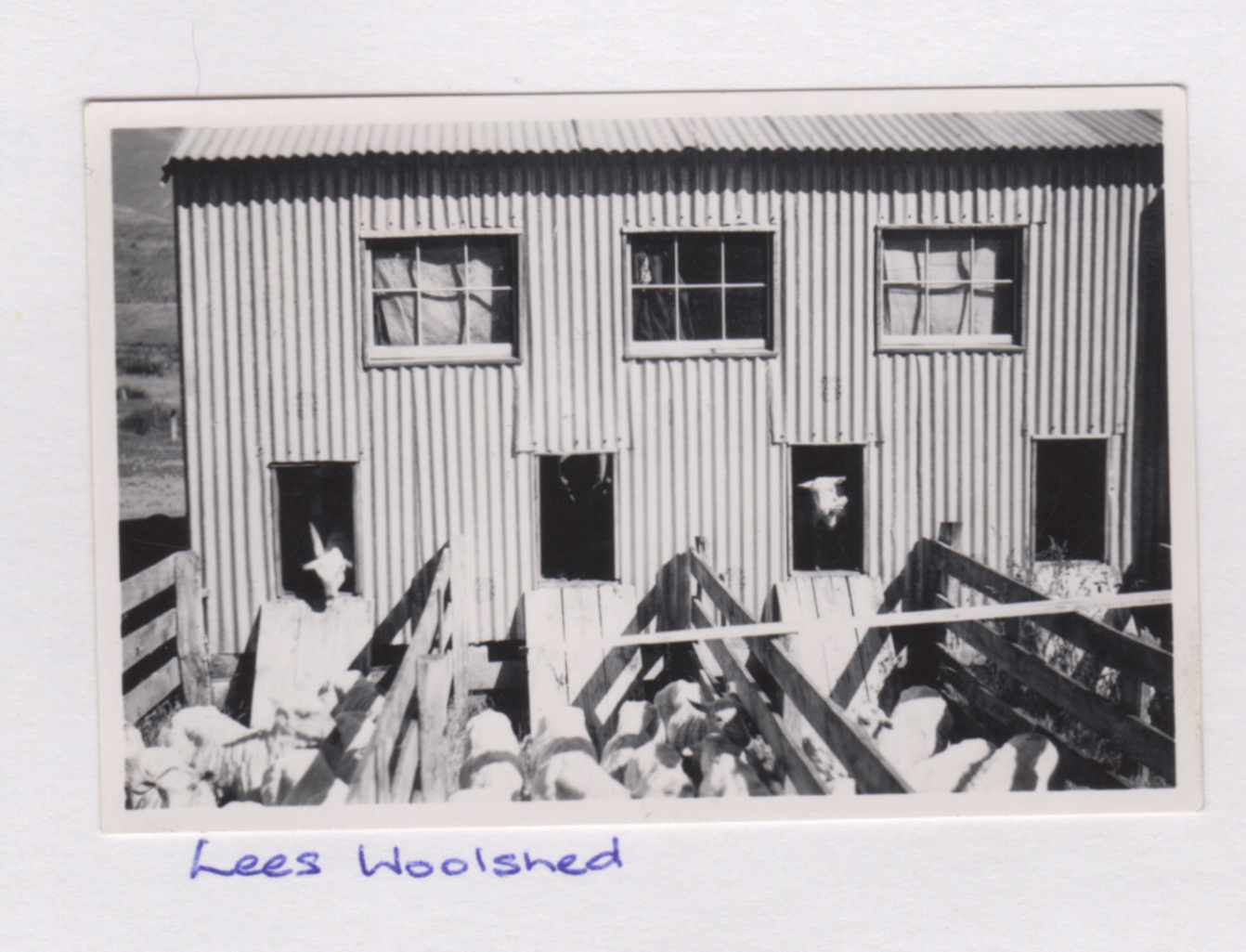 Scan 49 – Cardrona Heritage Trail